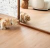 Hardwood Flooring That Adds Lasting Beauty & Value To Your Home